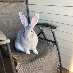 Meet your Posher, Dana